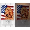 thumbnail image 2 of Caroline's Treasures LH9016CNL Flag with Bloodhound Ceramic Night Light, 6x4x3", multicolor, 2 of 2