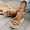 Gold, variant on Womens Boho Wedge Sandals Glitter Elastic Slingback Platform Shoes For Women Summer Beach Footwear Silver US:6.5