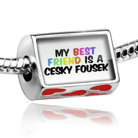 Bead My best Friend a Cesky Fousek Dog from Czech Republic Charm Fits All European