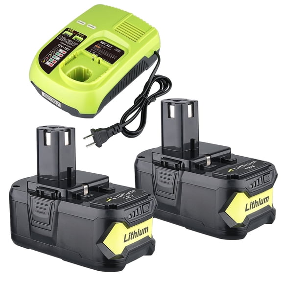 2Pack 8.0Ah Repacement for Ryobi 18V Battery with P117B Charger Compatible with Ryobi Battery 18V P102 P103 P104 P105 P107 P108 P109 Battery & Charger Kit With USB Port