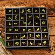 Burpee Self Watering 36 Cell Seed Starting Tray with Super Growing Pellets and Soil Mixer