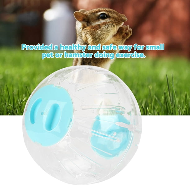 Pelota de ejercicio para hámster 185cm Rueda de ejercicio para hámster Rueda silenciosa para correr Mini pelota para correr Anillo externo de acrílico Rueda para cinta ANGGREK Otros
