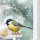 thumbnail image 3 of Comedero para Pájaros, 7*7.5*12.5cm, Dispensador de Acrílico, Colgante, para la Ventana, 3 of 5