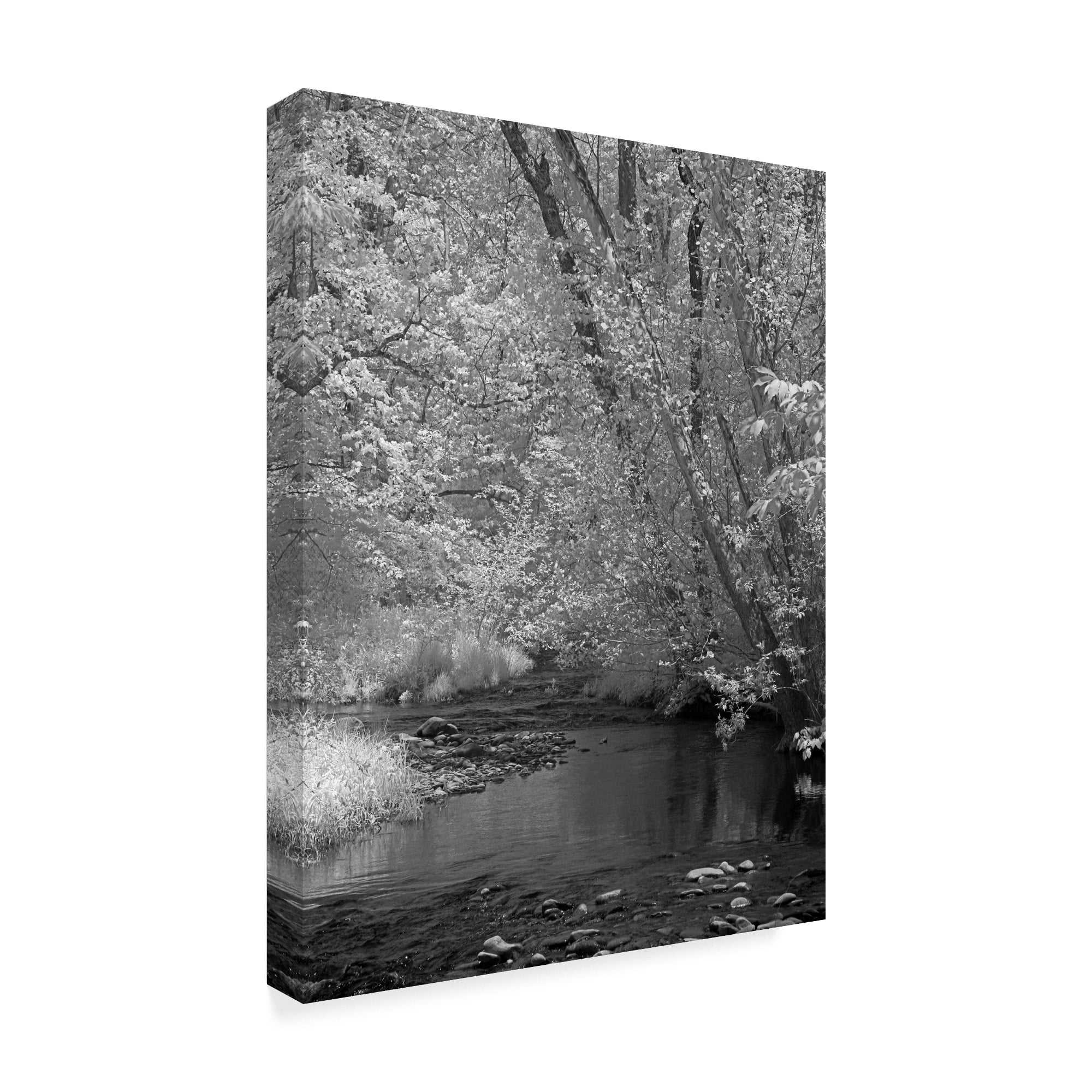 Trademark Fine Art 'Smokies Ir 2' Canvas Art by J.D. McFarlan