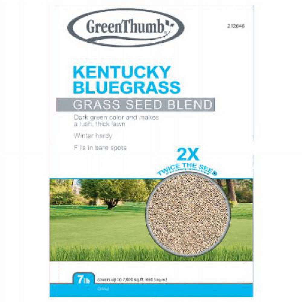 Barenbrug GTKBG7 7 LB Bag of Kentucky Bluegrass Blend Grass Seed - Quantity of 4