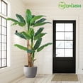 thumbnail image 6 of 6FT Artificial Banana Tree Tall Fake Banana Leaf Plant Faux Banana Silk Tree Faux Banana Leaves for Home Swimming Pool Indoor Outdoor Patio Tropical Decor, 6 of 7