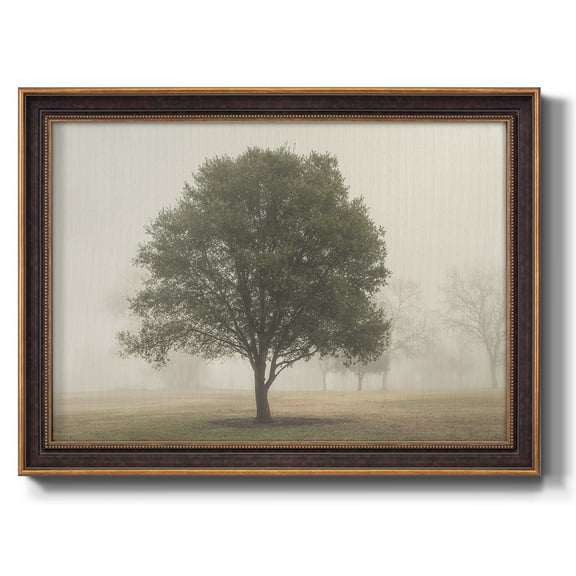 Trees in the Fog I Premium Framed Canvas- Ready to Hang