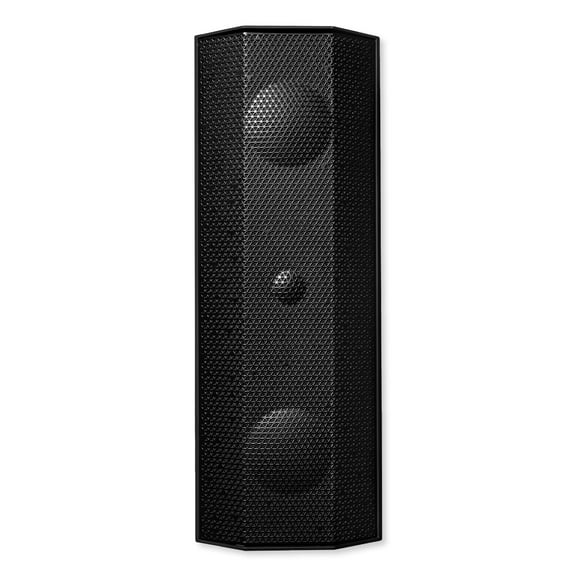Lithe Audio 06820 IO1 Indoor & Outdoor Passive Speaker (Single), Black