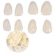 thumbnail image 4 of 70pcs/bag Teeth Veneers Resin Anterior Upper Temporary Crown For Oral Care - ya, 4 of 4