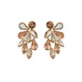 thumbnail image 1 of 1 par de pendientes coloridos de diamantes de imitación, pendientes exagerados, pendientes de gota de estilo americano, joyería para bodas y Ropa, zapatos y accesorios Miscelánea champán Jumpingount AP017535-02, 1 of 6