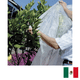 thumbnail image 1 of PROTECCIÓN ANTIHELADAS - INVERNADEROS TELA 2.10m x 25m / SUNCOVER SUNCOVER 2.10M ANCHO X 25M LARGO, 1 of 5
