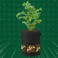 thumbnail image 4 of Potato Planter Bags - Garden Tub for Vegetable Growing with Flap Access - 7/10 Gallon Plant Growing Bag Aeration Waterproof Potato Planting Bucket Pouch, 4 of 8