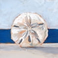 thumbnail image 2 of Harper, Ethan 26x26 Black Ornate Wood Framed with Double Matting Museum Art Print Titled - Sand Dollar By the Sea, 2 of 4