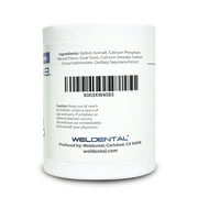Weldental Chewtab Toothpaste Tablets Refill, Peppermint 180 Count
