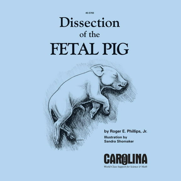Dissection Of The Fetal Pig Manual