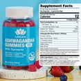 thumbnail image 2 of Suplemento EnvyDeal, gomitas de ashwagandha, 2000 mg, 60 unidades, 2 of 7