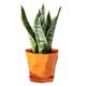 thumbnail image 4 of Caja de jardineras Bonsái - Maceta de plástico para patio con bandeja de drenaje, blanco/verde/azul/naranja, 15x12,5x11,5cm para suculentas, hierbas y jardinería interior/exterior, 4 of 8