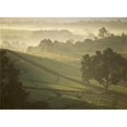 thumbnail image 1 of Posterazzi DPI1885589 Tea Pickers Walking Through The Lujeri Tea Estate At Dawn Poster Print, 18 x 13, 1 of 1