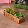 thumbnail image 2 of 2 pc Macetas de plantas en maceta de balcón suculento de madera maciza macetas rectangulares bonsái caja de madera dividida, 2 of 5