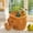 F, variant on USUERY Handmade Wicker Animal Storage Basket Set Cute Rattan Organizer For Toys Snacks Fish Hippo Deer Elephant Dog Shapes