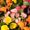 thumbnail image 2 of Ounissouiy 10 piezas PU flor falsa reemplazo decorativo hogar fiesta Hotel café casa flores artificiales decoración ornamento Decoración Amarillo Ounissouiy HA084201-01, 2 of 6