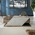 thumbnail image 4 of Furniture of America Menster Table Basse Moderne en Bois avec Rangement en Chêne Récupéré, 4 of 8