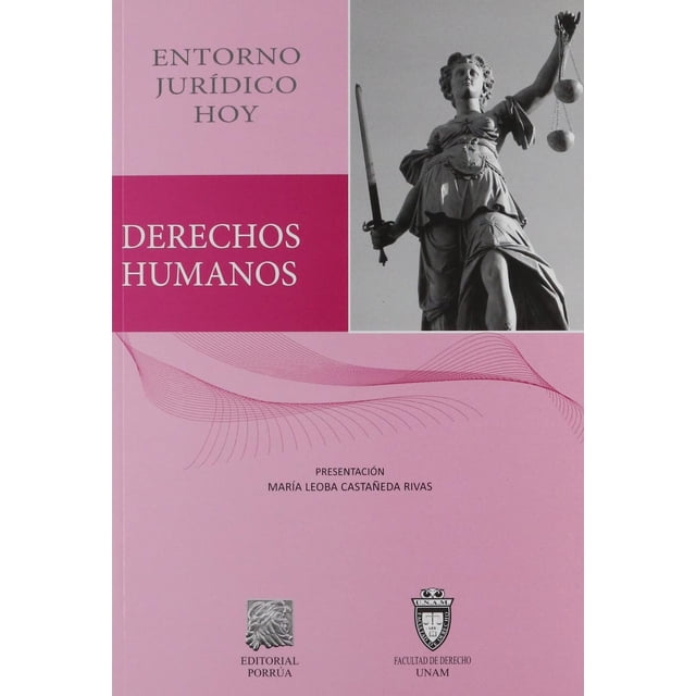 Derechos humanos Entorno jurídico hoy Editorial Porrúa 9786070916779