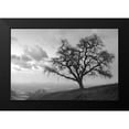thumbnail image 2 of Blaustein, Alan 24x17 Black Modern Framed Museum Art Print Titled - Coastal Oak Series No. 48, 2 of 5