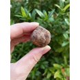 thumbnail image 4 of GAF TREASURES Wholesale Raw Garnet Crystals, Natural Garnet Stone, Natural Rough Garnet Crystals, Garnet Rough, Garnet Healing Crystals (Garnet, 0.25 Pound), 4 of 8