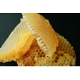 thumbnail image 5 of American Raw Honey Comb 8oz 100% Pure, Raw Unfiltered Honey, 5 of 7