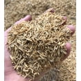 thumbnail image 2 of ⭐ Unlock Your Garden's Potential with Gardenera Rice Hulls - Improve Soil Porosity, Moisture Control, and Weed Suppression - 4 QUARTS, 2 of 4