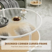 Studyset 30 Rattan Coffee Table,Round Water-Wave Glass Metal Center Table,2-Tier Round End Table with Storage,Modern Coffee Table,Farmhouse Circular Coffee Tables for Small Space,Living Room,Office