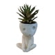 thumbnail image 1 of Maceta luminosa con cara, bonita maceta suculenta de resina para decoración del hogar y la oficina, 1 of 7