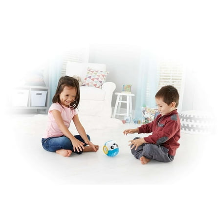 Fisher-Price Think & Learn Rhythm 'n Roll Hedgehog