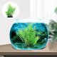 thumbnail image 5 of unbranded Adorno Para De Peces Con Planta De Artificial, 5 of 8