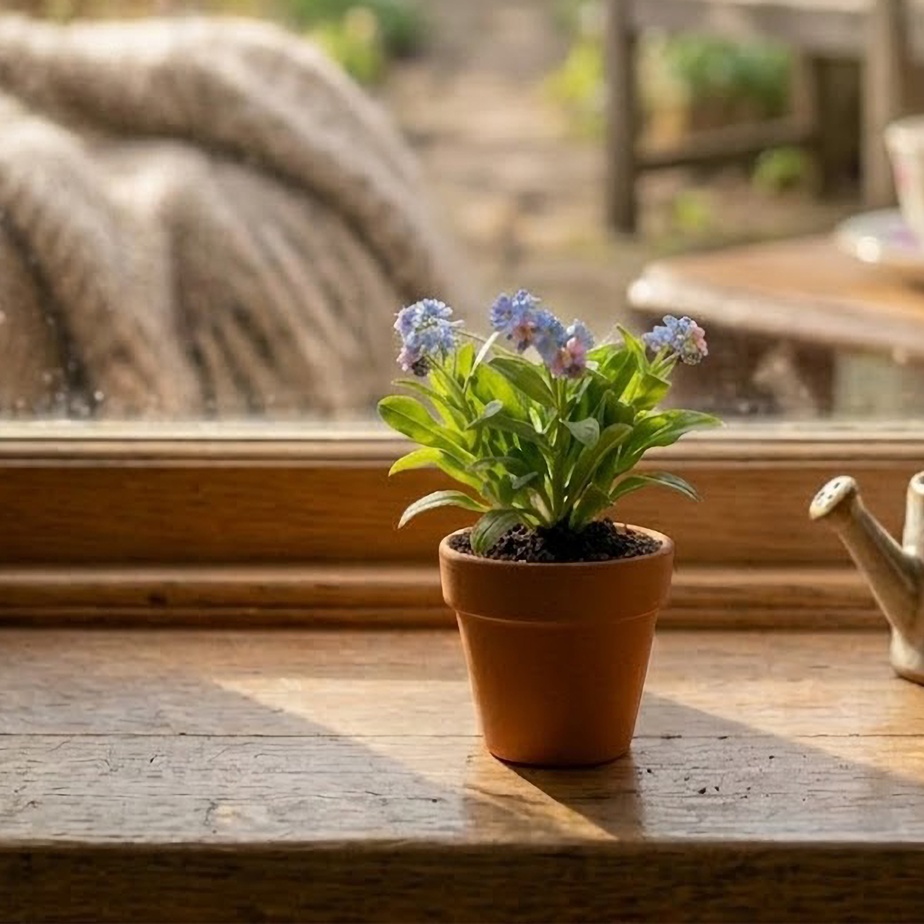 Buzzy Forget Me Not Flower Grow Kit with Mini Terra Cotta Pot