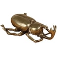 thumbnail image 4 of Simulation Modèle de Coléoptère Modèle d'Insecte Décoratif Modèle Ornement de Bureau Réaliste, 4 of 9
