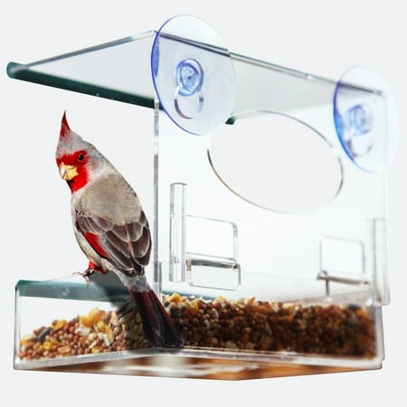Window Bird Feeder Watch Wild Birds Up Close Removable Seed