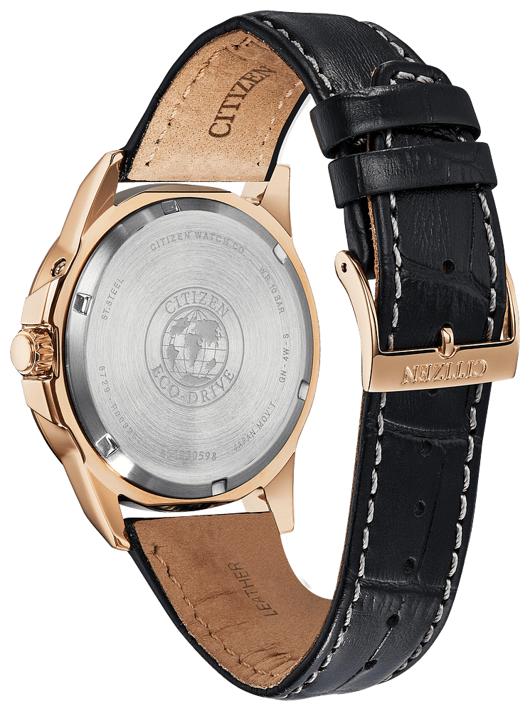 citizen antimag 4800,Quality assurance,protein-burger.com