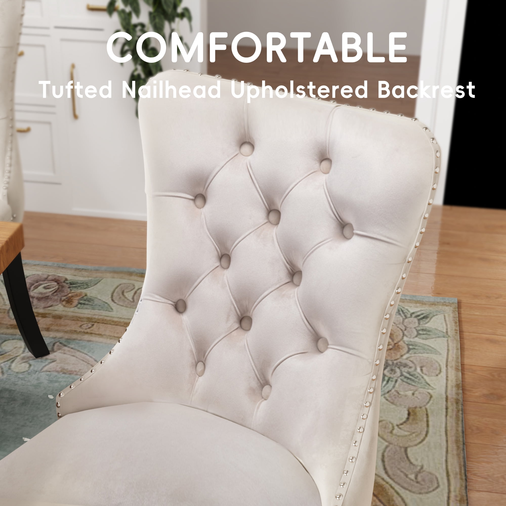 DONICK Velvet Upholstered Dining Chairs , Kitchen & Dining Room Chairs, Nailheads Tufted, Soft, Solid Wood Frame (Beige, Set of 2)