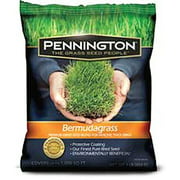 Pennington Premium Bermudagrass Blend, 10 lb