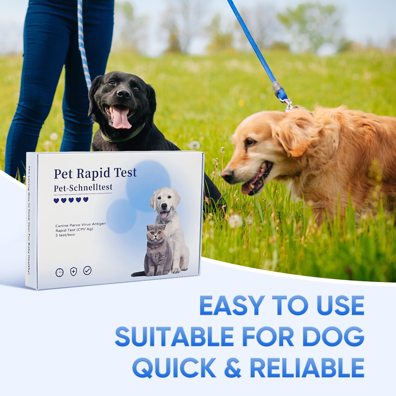 Rapid 5-Piece Health C PV Test Kit for Dogs - Accurate & Quick Home Detection in Feces/Vomit in 5-10 Minutes! Easy to Use Non-Invasive Early Diagnosis Tool Suitable for All Breeds & Ages