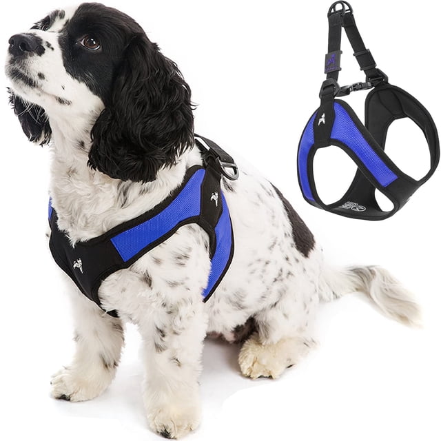 Arnés para perros Gooby Escape Free Easy Fit azul para perros pequeños