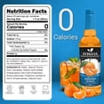 thumbnail image 3 of Syruvia Sugar Free Mandarin Orange Flavored Syrup for Drinks, Cocktails, Lemonades, Iced Teas and Desserts – 25.4 fl oz, 3 of 7