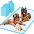 thumbnail image 1 of Almohadillas para cachorros SUGUNING, extra grandes, 80 x 100 cm, 40 unidades, 1 of 7