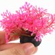 thumbnail image 5 of unbranded 20Ud Plásticas Para Acuario De Peces Betta Y Duradera, 5 of 6