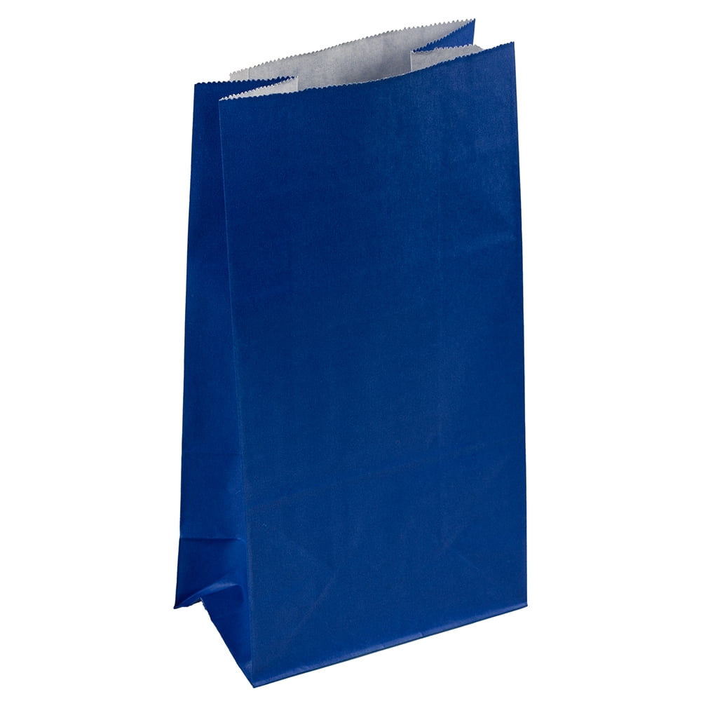 JAM Paper Kraft Lunch Bags, Blue, 5 x 9.75 x 3, 1/Pack
