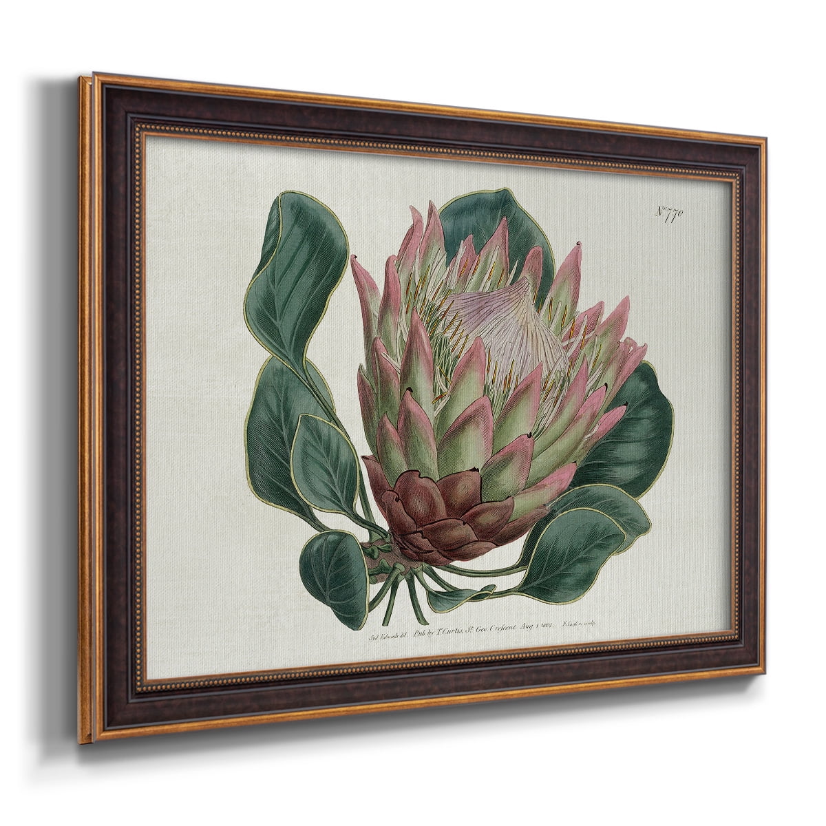 Protea N70 Premium Framed Canvas- Ready to Hang