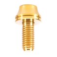thumbnail image 1 of M5x12mm Botella de Agua Perno Tornillo Rack Socket Mountain cup Parte , Oro DYNWAVEMX Tornillo portabidón Bike Waters, 1 of 6