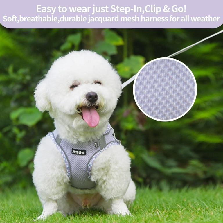 TomteNisse Dog Harness and Leash Set No Pull Pet Harness for Small Dogs Easy Walking Soft Breathable Small Dog Harness Adjustable Reflective Step